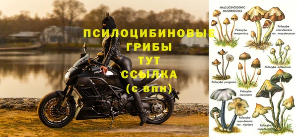 марки nbome Дмитровск