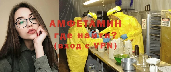 амф Ельня