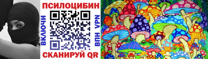 продажа наркотиков  Шарыпово  Псилоцибиновые грибы Psilocybe 